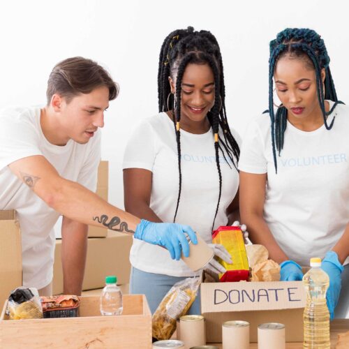 Organizational Development for Volunteer Based Initiatives